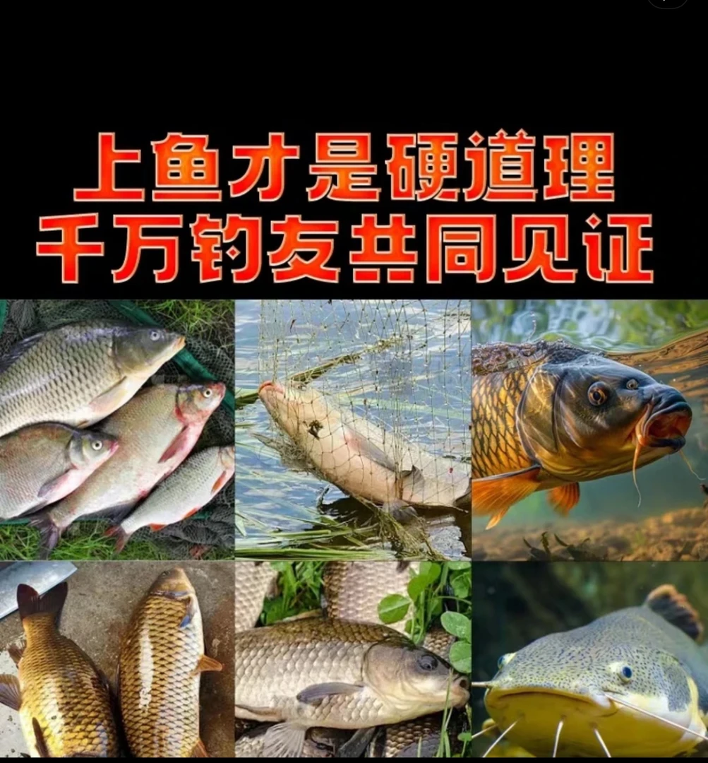 主播同款【拍1发10包]特别腥饵料黑坑江河湖泊通用勇