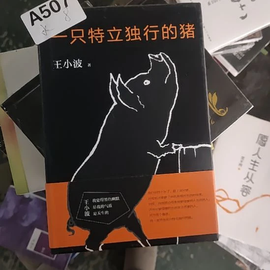 一只猪8闪购闪购闪购闪购