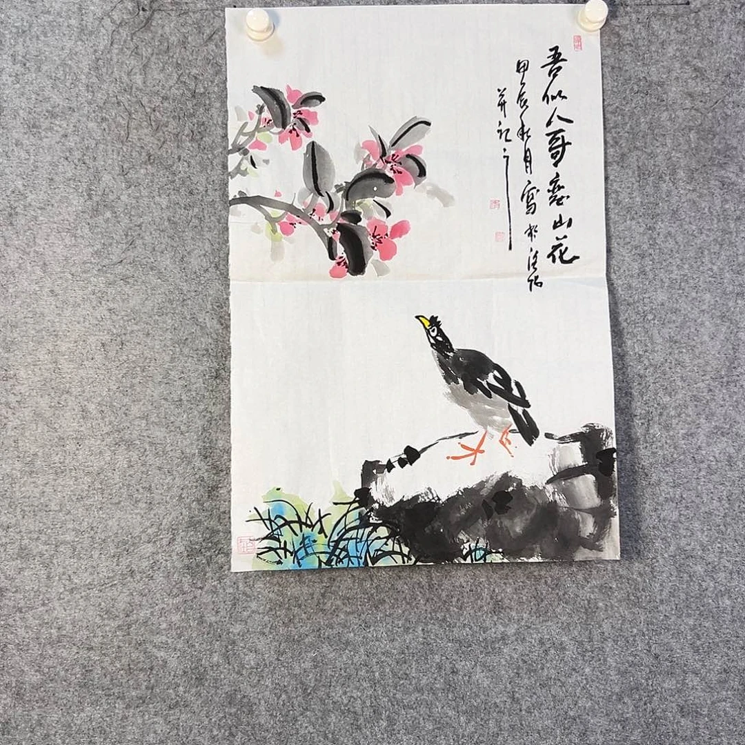 国画332 牡丹等植物资源的