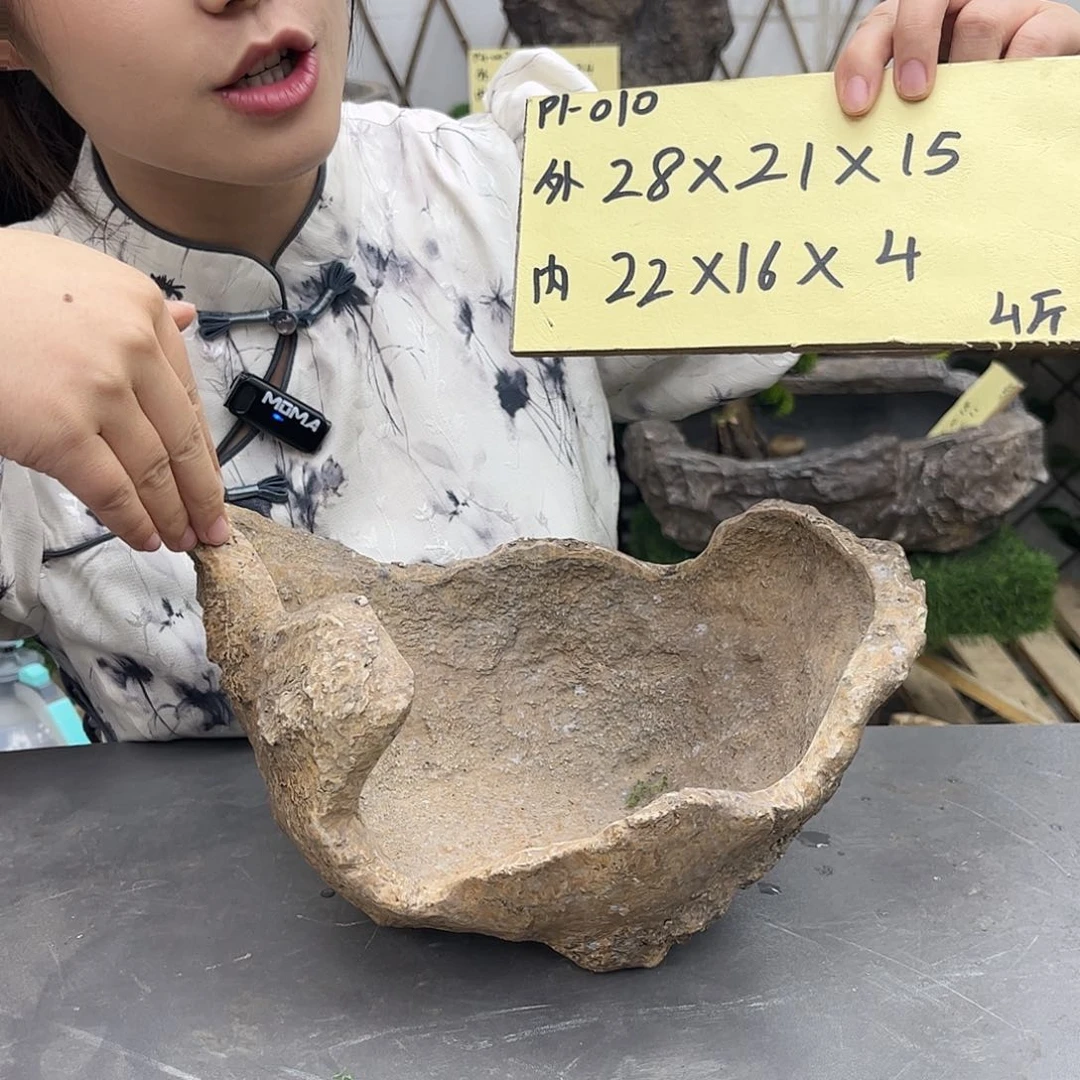 盆景盆盆景盆P1-010