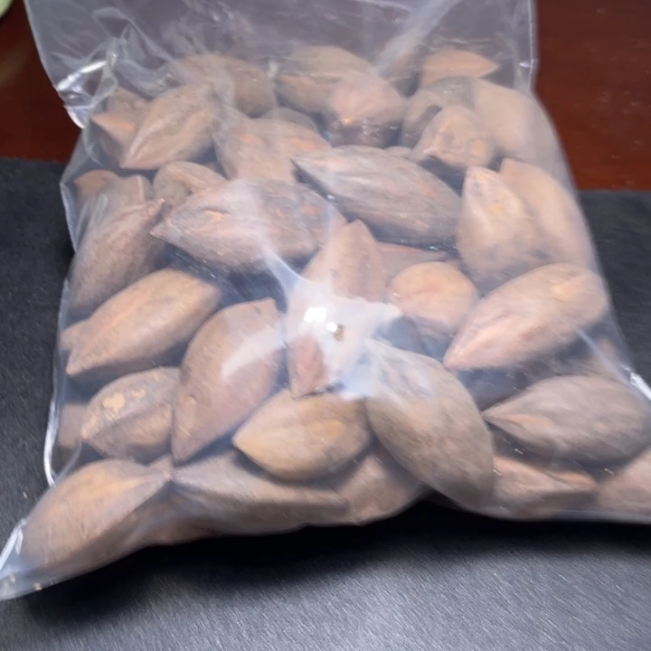 南***风吊坠橄榄核不退不换