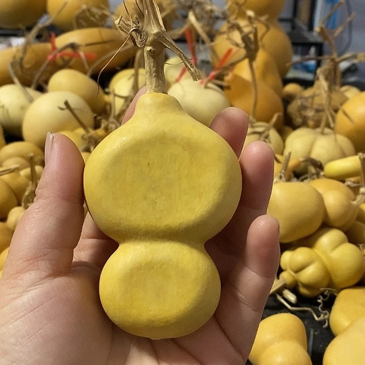 葫芦的颜色有点微hua