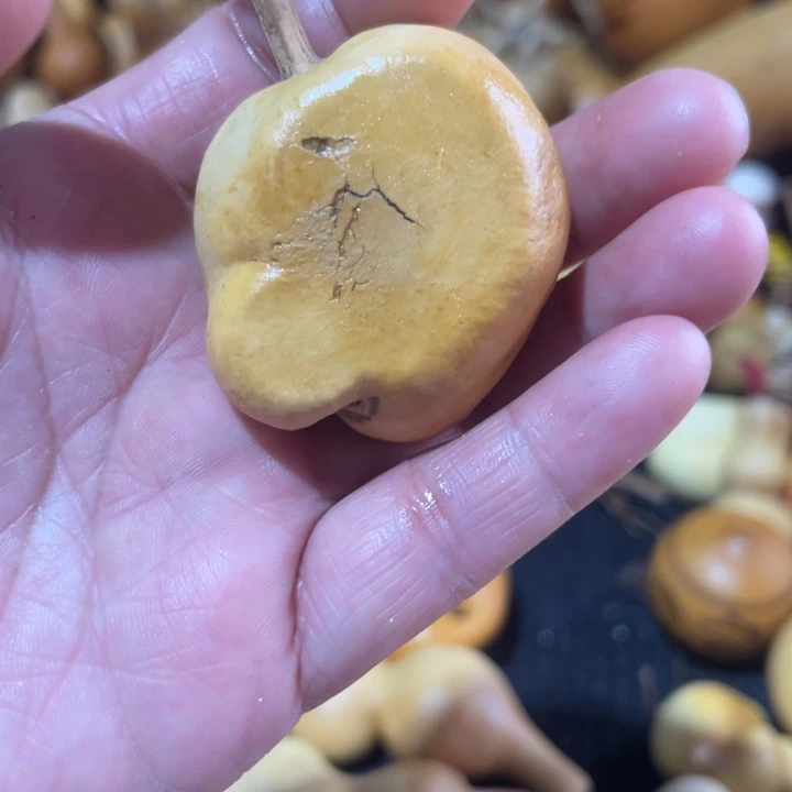 大****葫芦哈哈哈哈哈哈哈哈