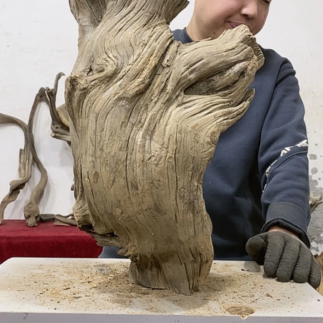 【闪购商品】柏木大*我们都是好孩子