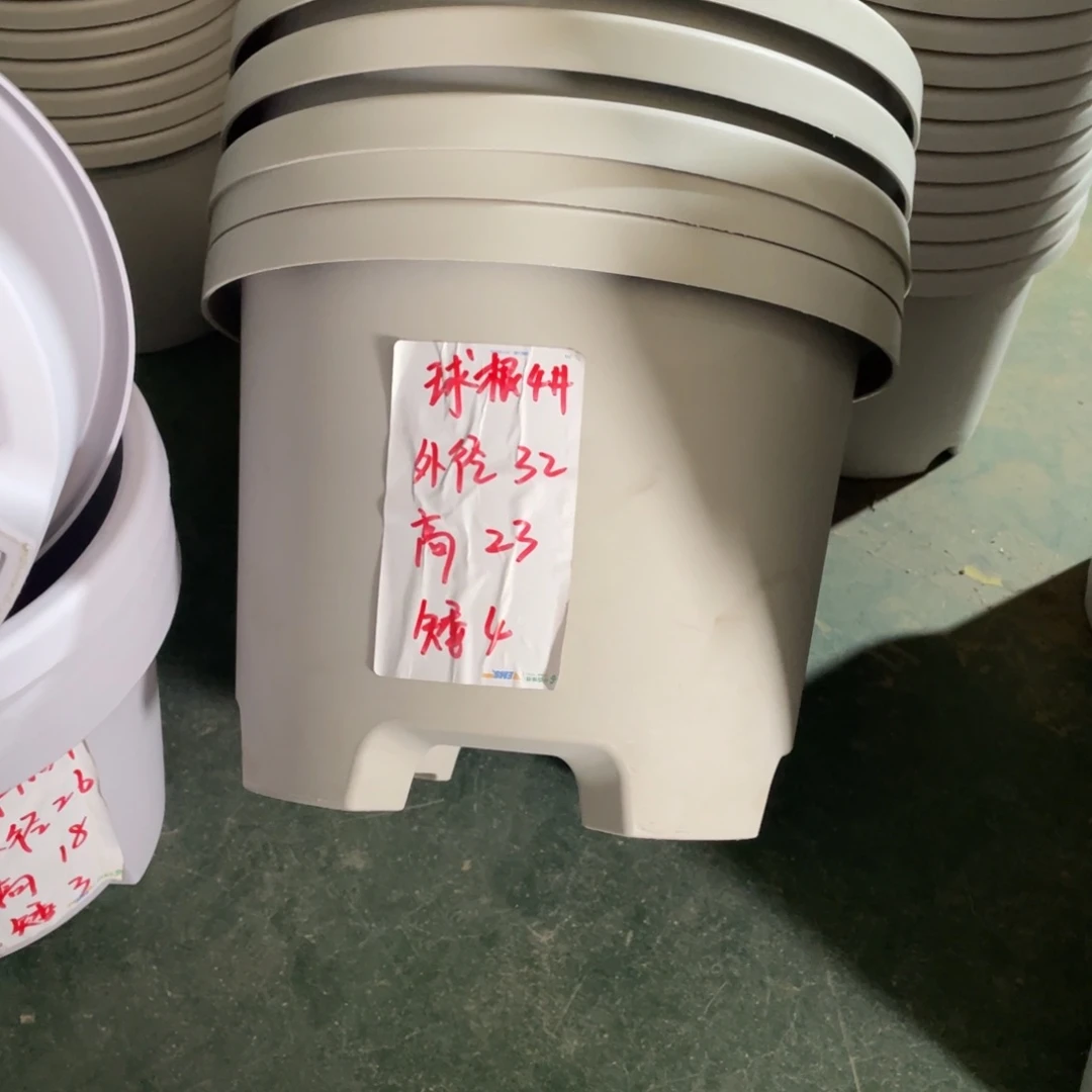 球根4#无拖灰白5个