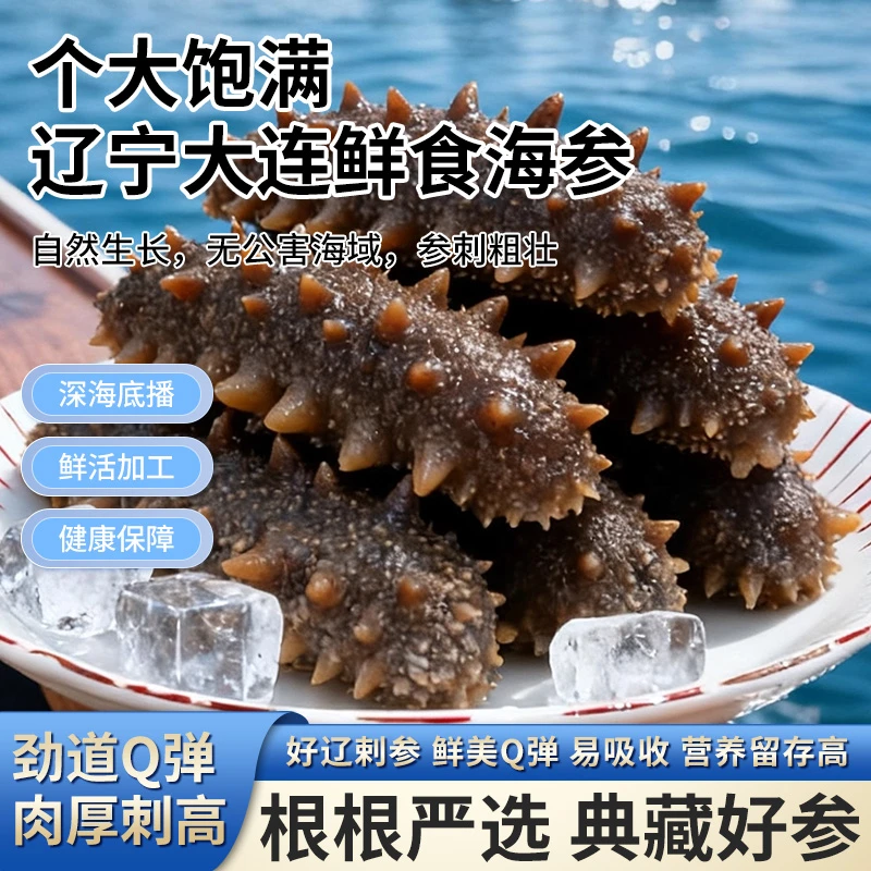 【淳萃】鲜食海参正宗大连产区源头工厂发货蒸制深海海参品质保证