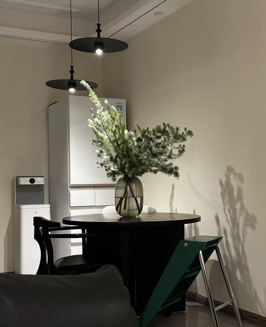 【拾花拾木】羊毛松 鲜花 适合居家养的长花期花