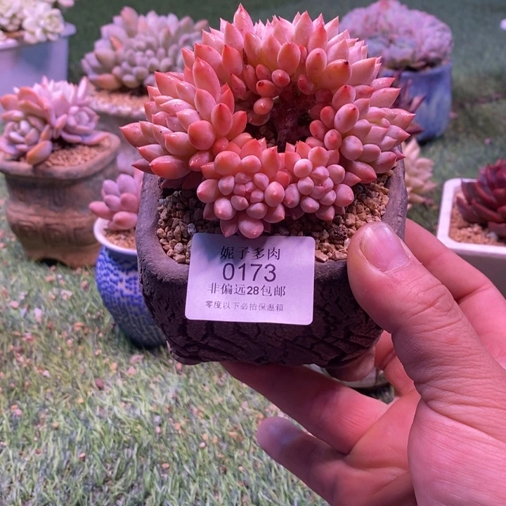 0173啊啊啊啊啊啊啊啊啊啊啊