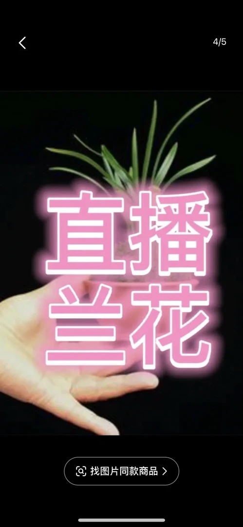 兰花拍品一物一拍