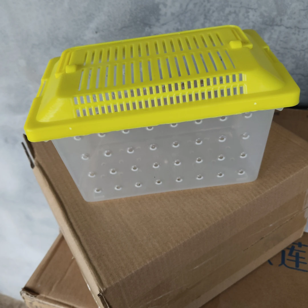 随机侏儒仓鼠透气运输塑料盒运输