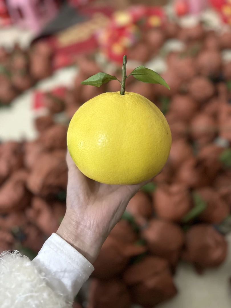 平和爆汁葡萄柚新鲜应季水果皮薄多汁现摘现发