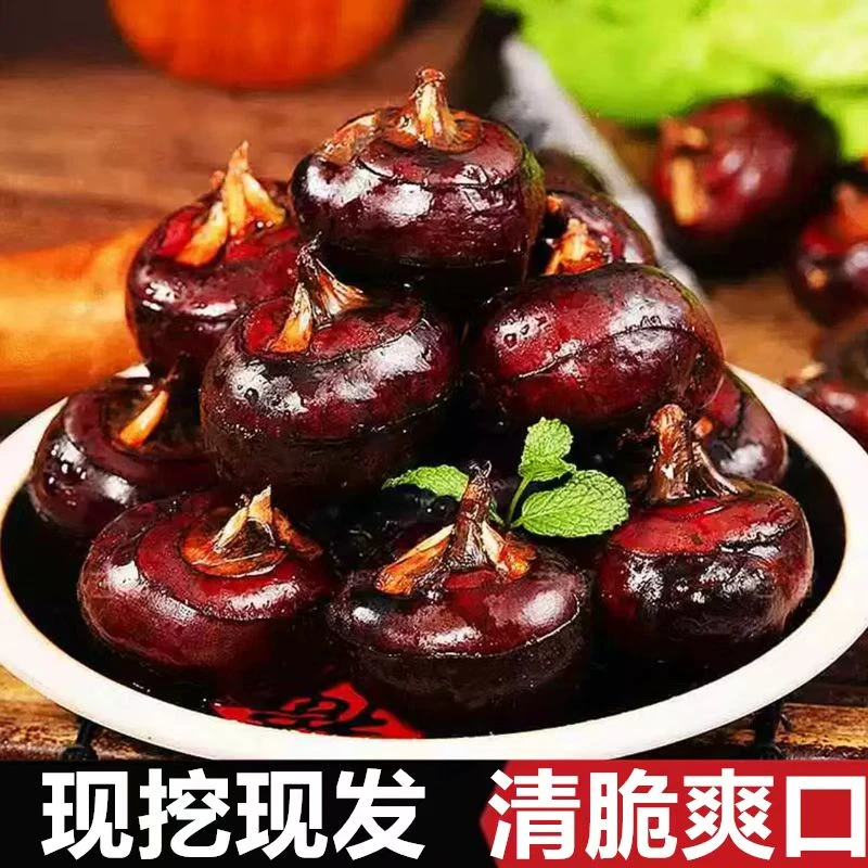 新鲜现挖带泥农家直供马蹄果荸荠脆甜多汁爽口当季水果蔬菜