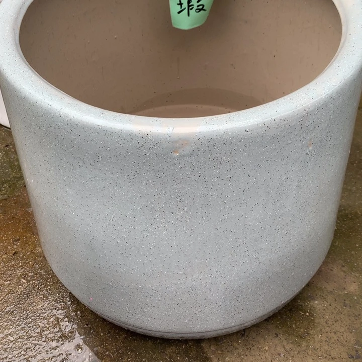 花盆里的小猫咪们都好可爱啊