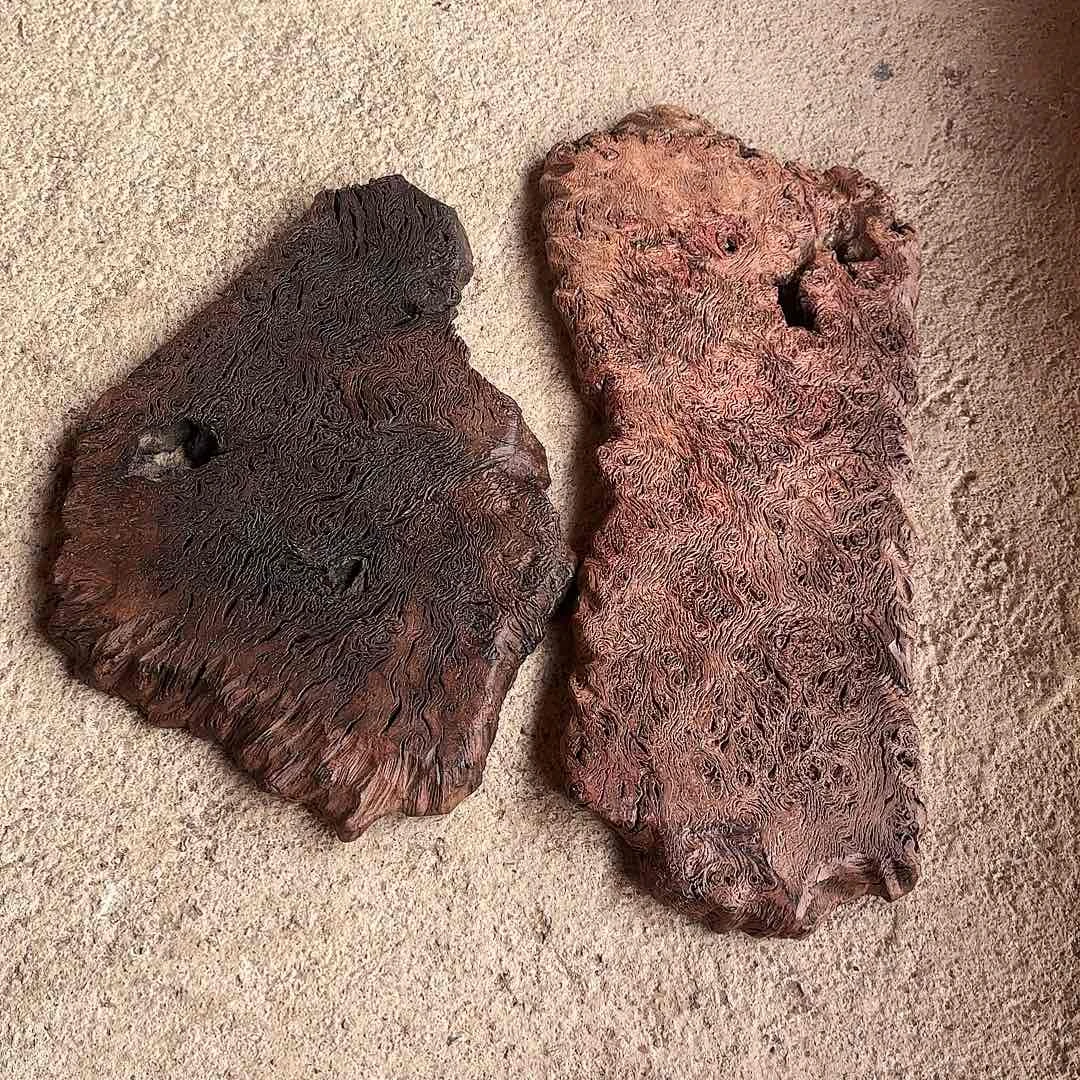 用***天木铁栎木树瘤精品板