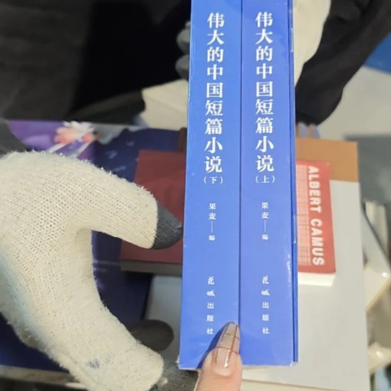 伟大的中国短片小说全新正版