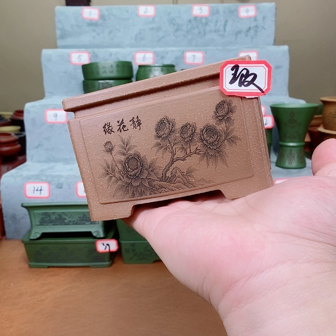 紫砂花盆我在看书