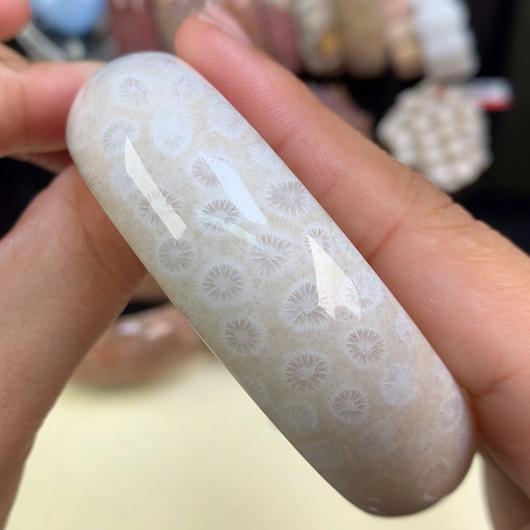 【闪购商品】颈饰未镶嵌硅化珊瑚（珊瑚玉）18号双面61圈