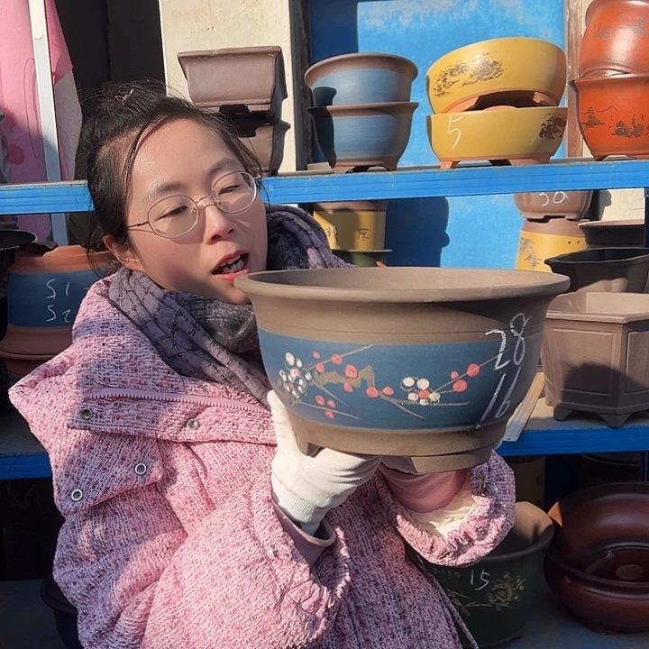 蓝富贵点彩大花盆花盆