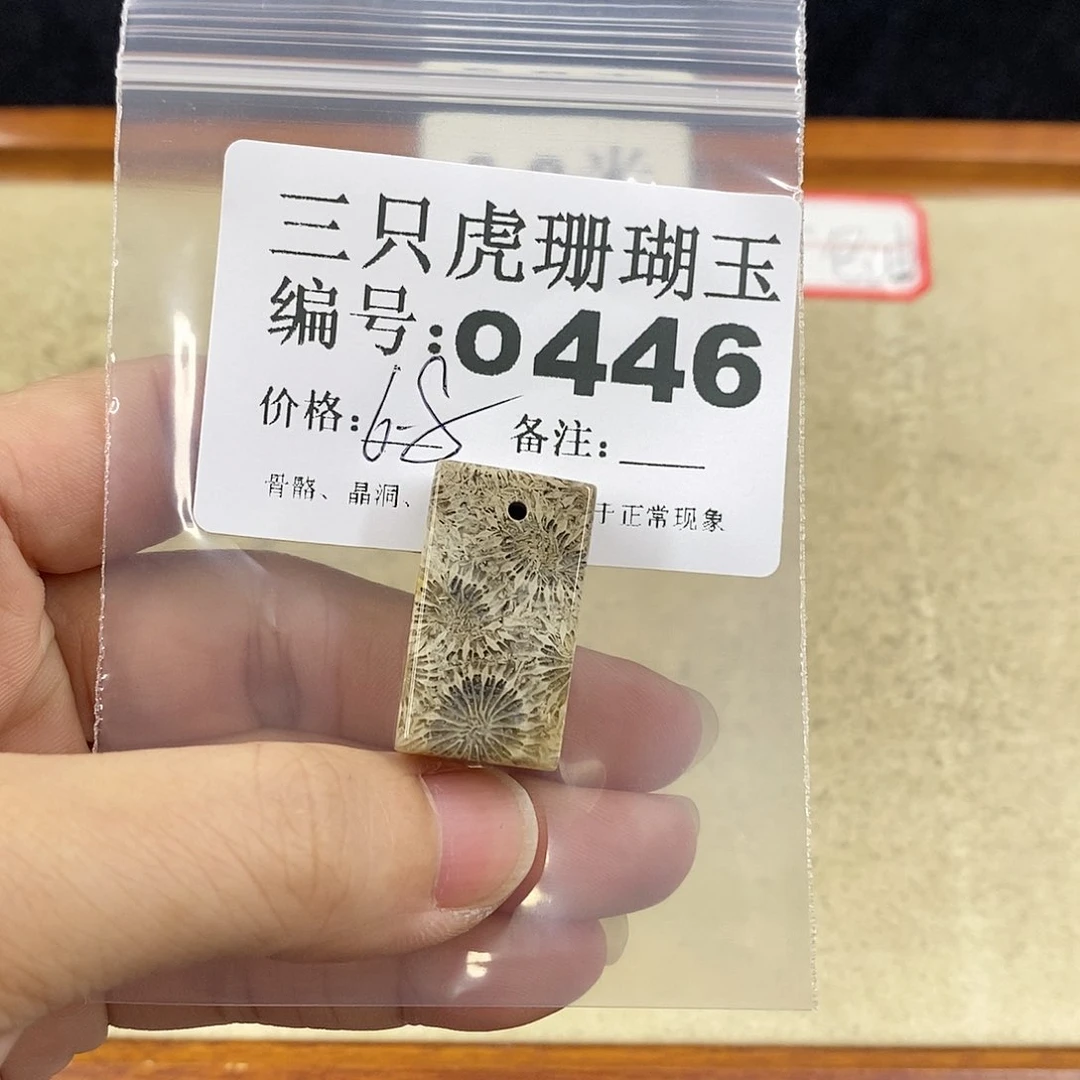 硅化珊瑚（珊瑚玉）1未镶嵌晴**月