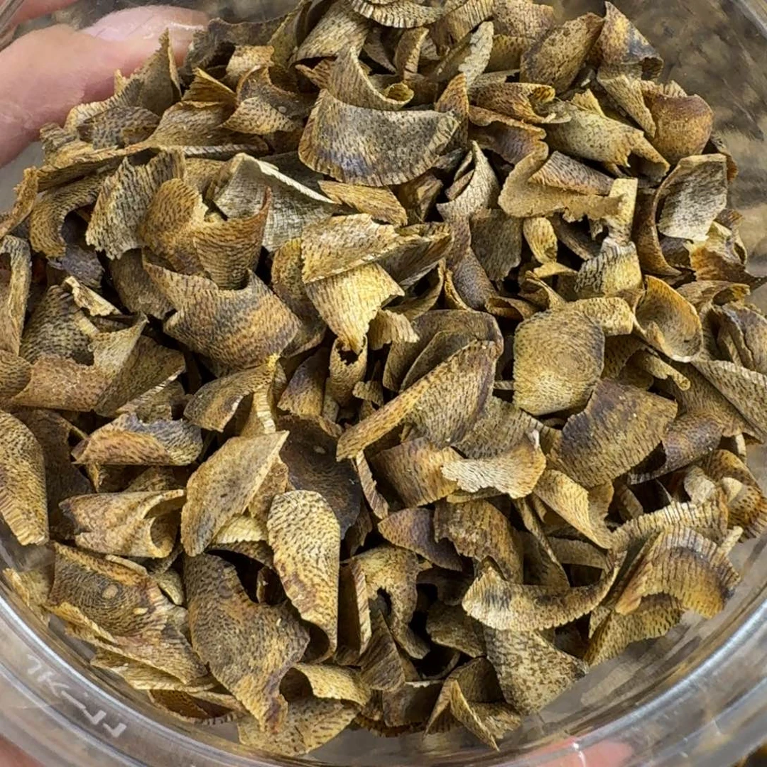 沉香沉香碎屑奇楠乌身高油脂切片21g