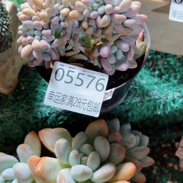 想***7幸运儿的一个好消息是他