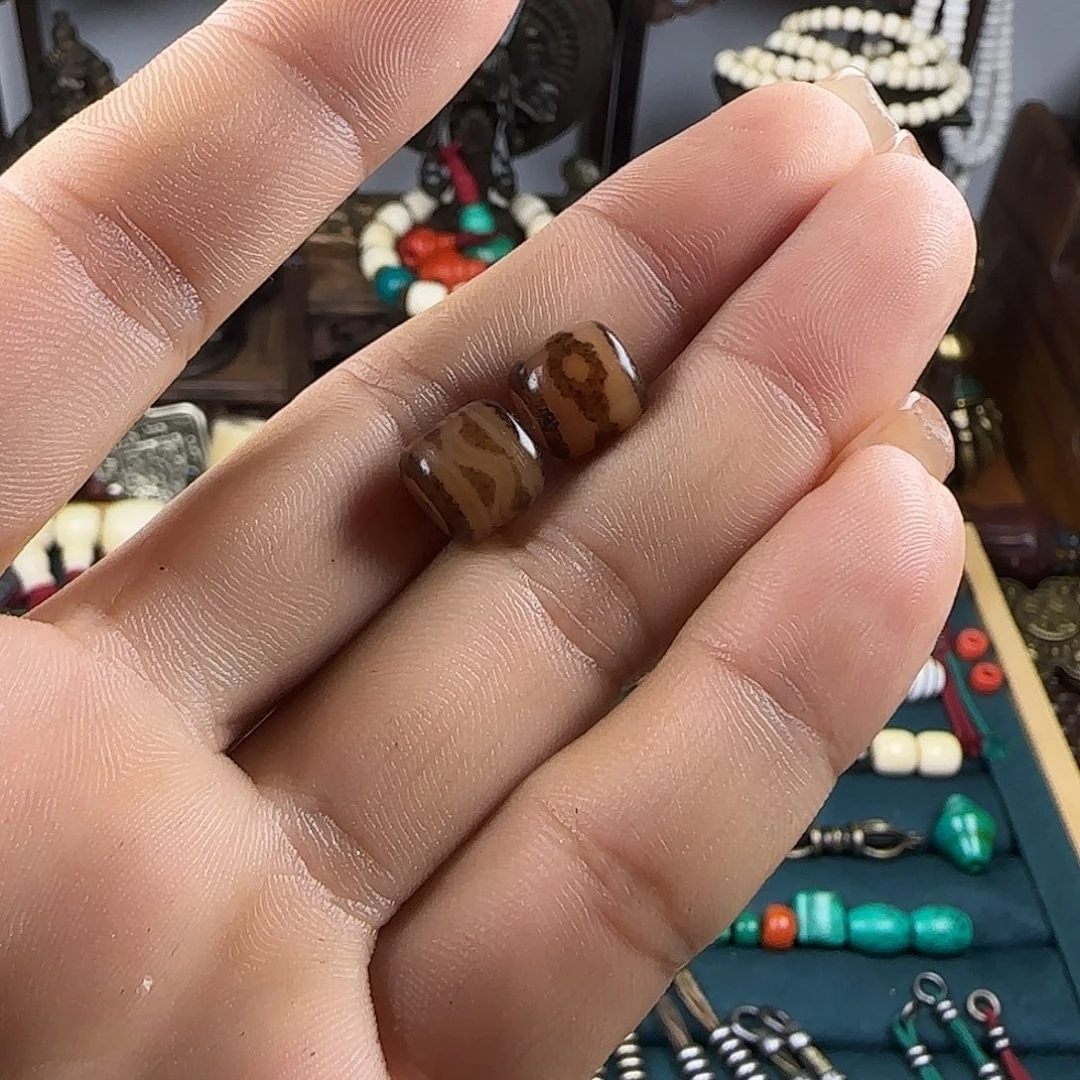 大***子贝壳手串/手链你腰不知道有