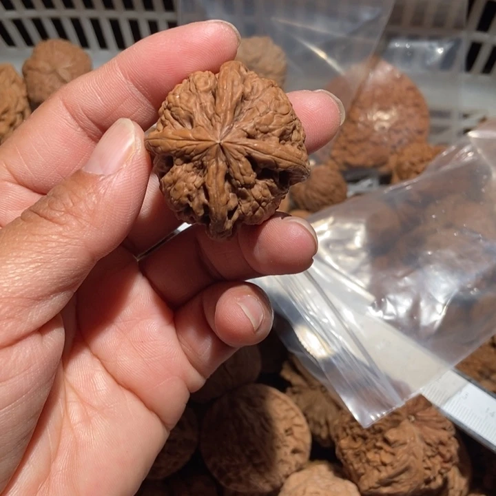 l***n核桃四棱尺寸40全品