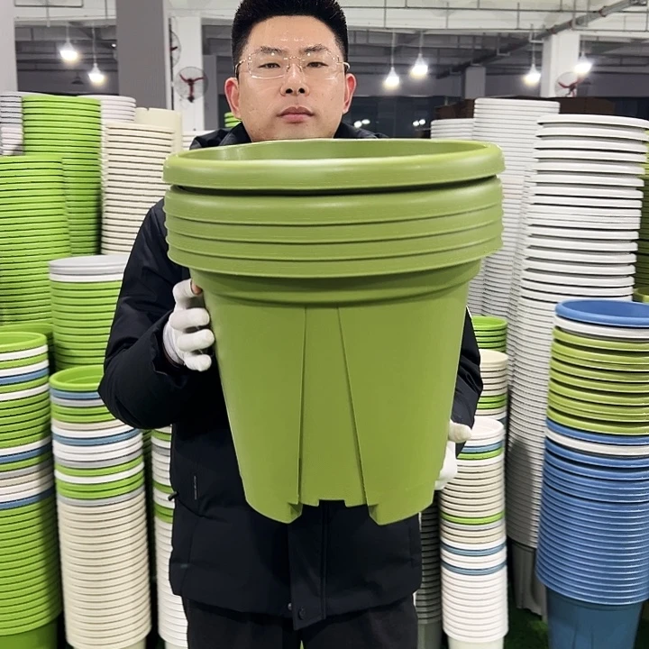 清仓青山口40高34果绿5只无托