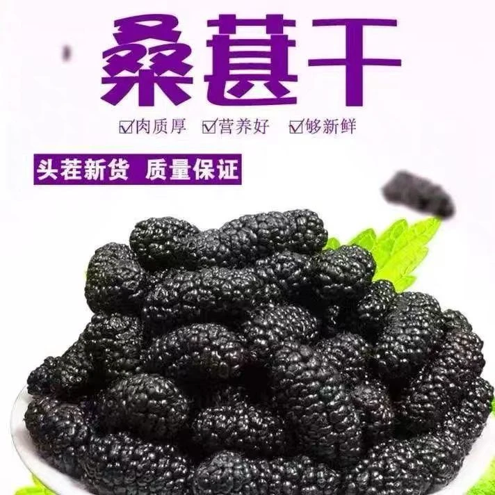 【到手一斤】新货桑葚干自然风干生吃泡水煮粥软糯香甜