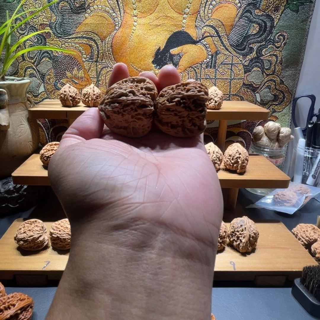 小***五核桃全品无修山地南疆，轻微色差