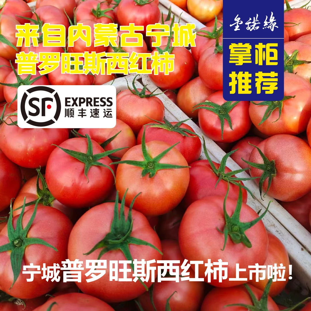内蒙宁城普罗旺斯西红柿（原产地直发顺发包邮到家）