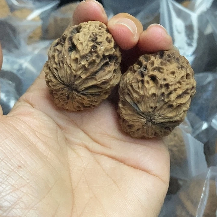 木质类云南铁核桃+42