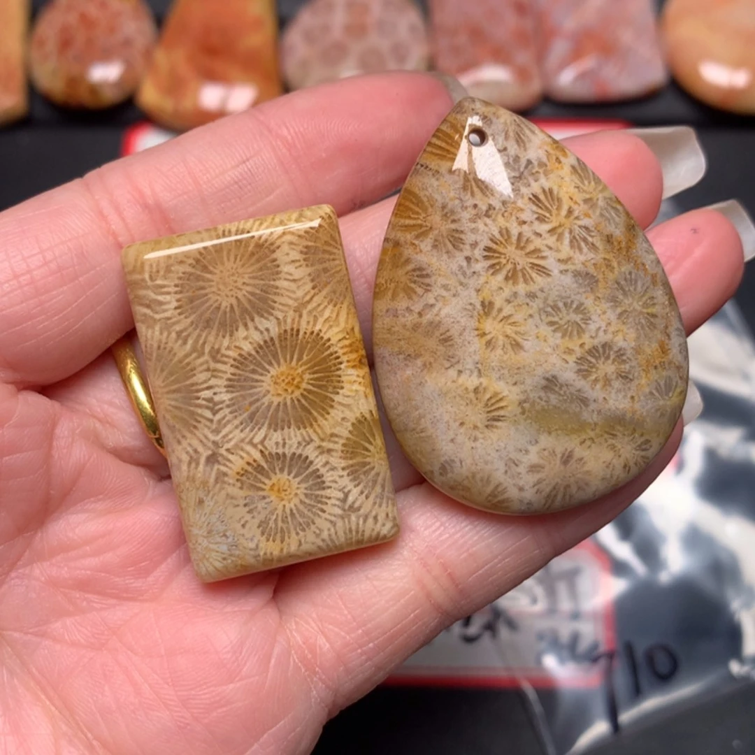 【闪购商品】硅化玉颈饰未镶嵌果