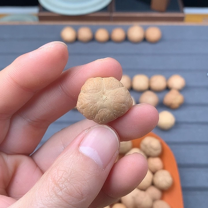 吊坠凤眼菩提23+五星，非质量问题开孔不退