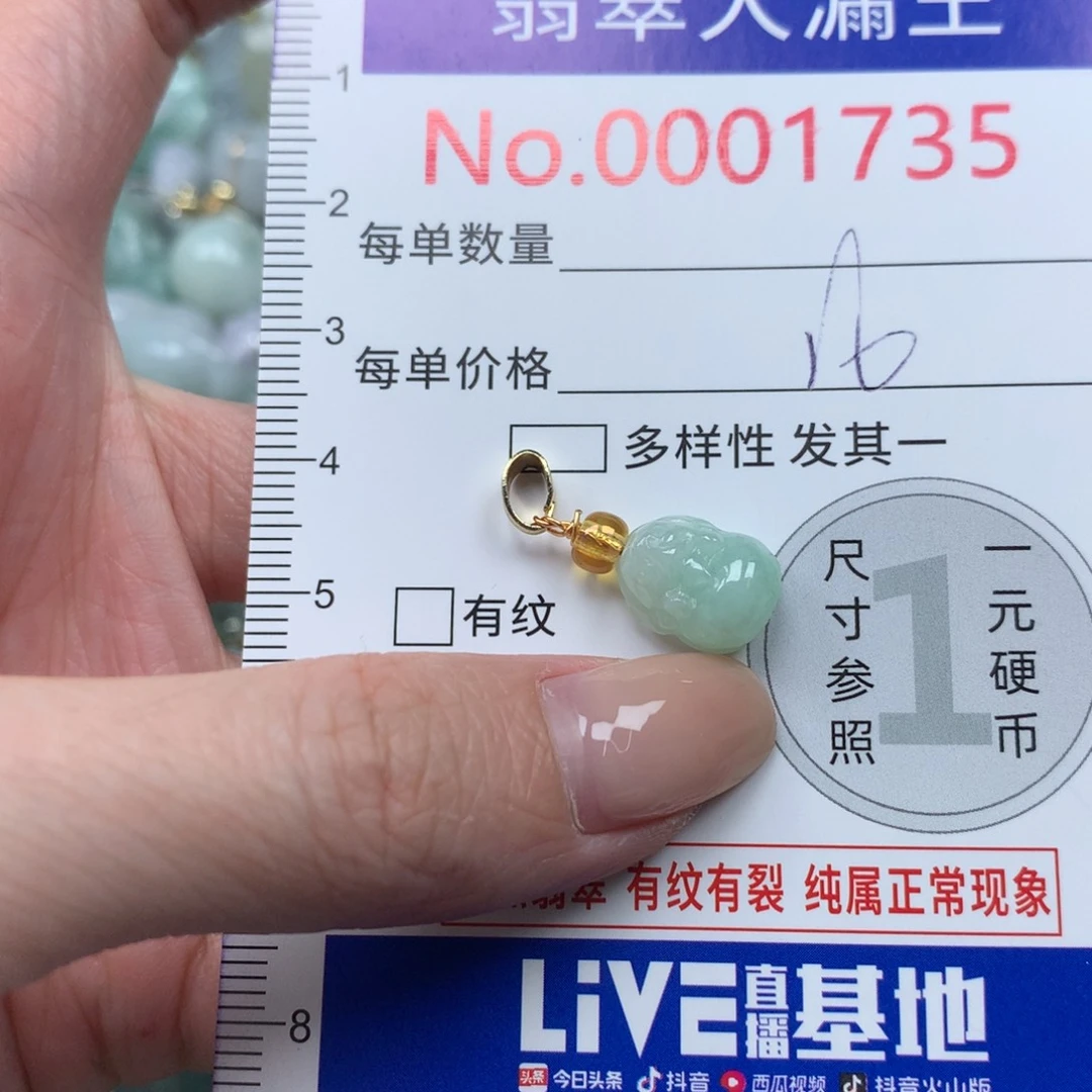 翡翠未镶嵌吊坠(不含链)