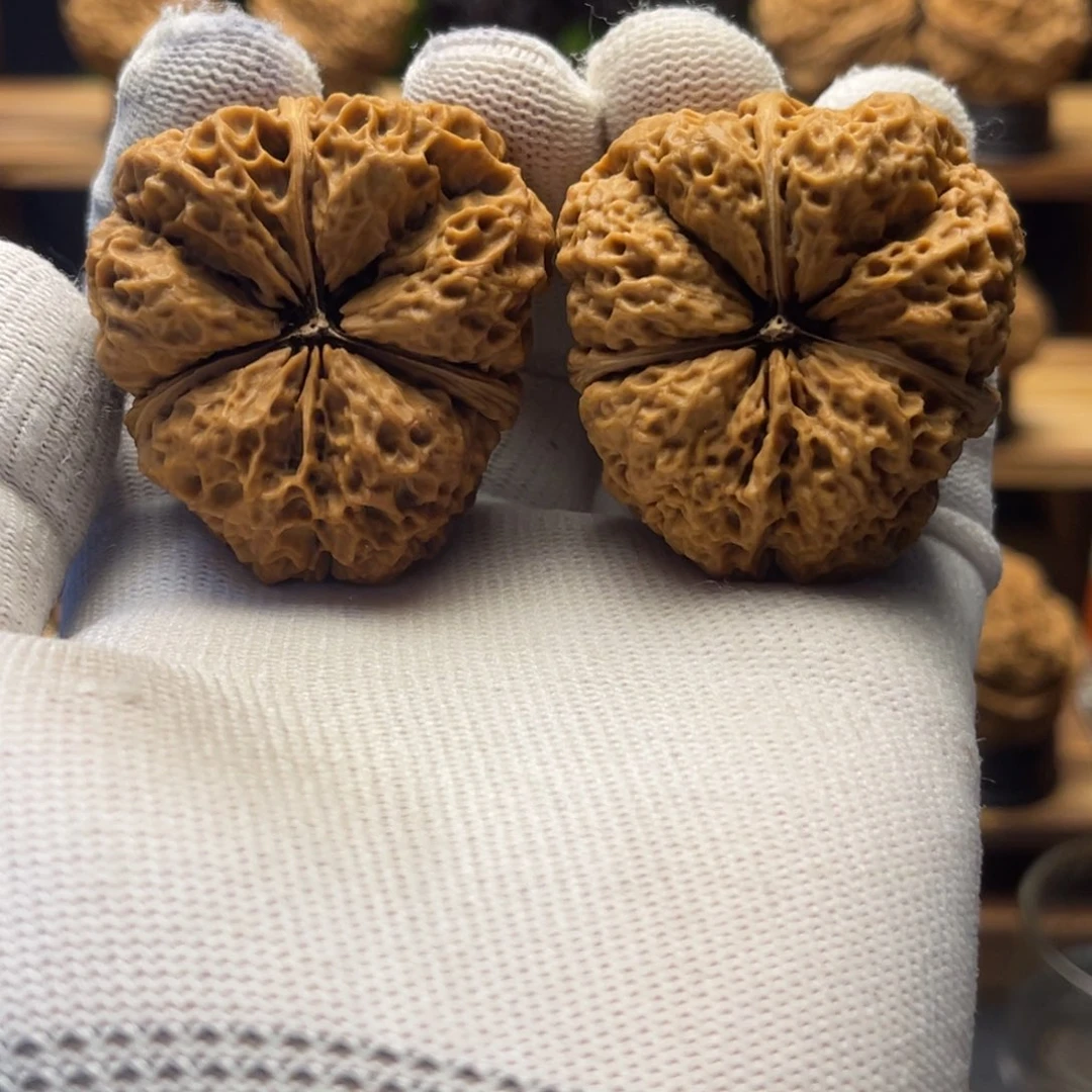 核桃44mm超低福利龙爪底三棱 64克 一物一图