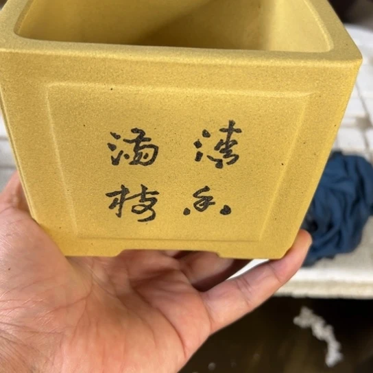 【闪购商品】内扣11.5内高9