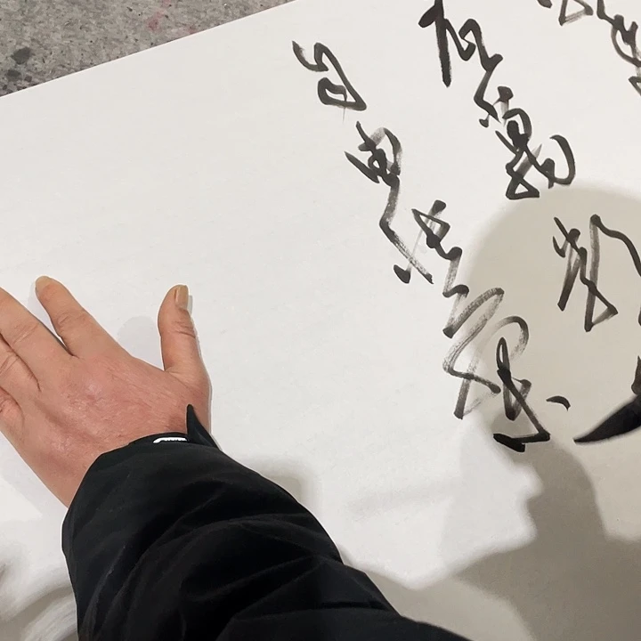 岚***岚书法尤老师书法作品雪