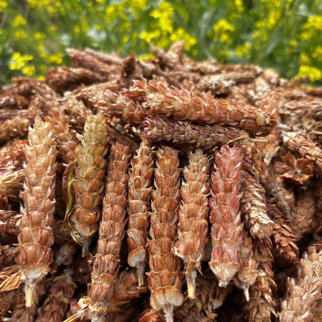 河南确山 夏枯草  夏枯球 手选大花  不熏硫  自然阳光晾晒