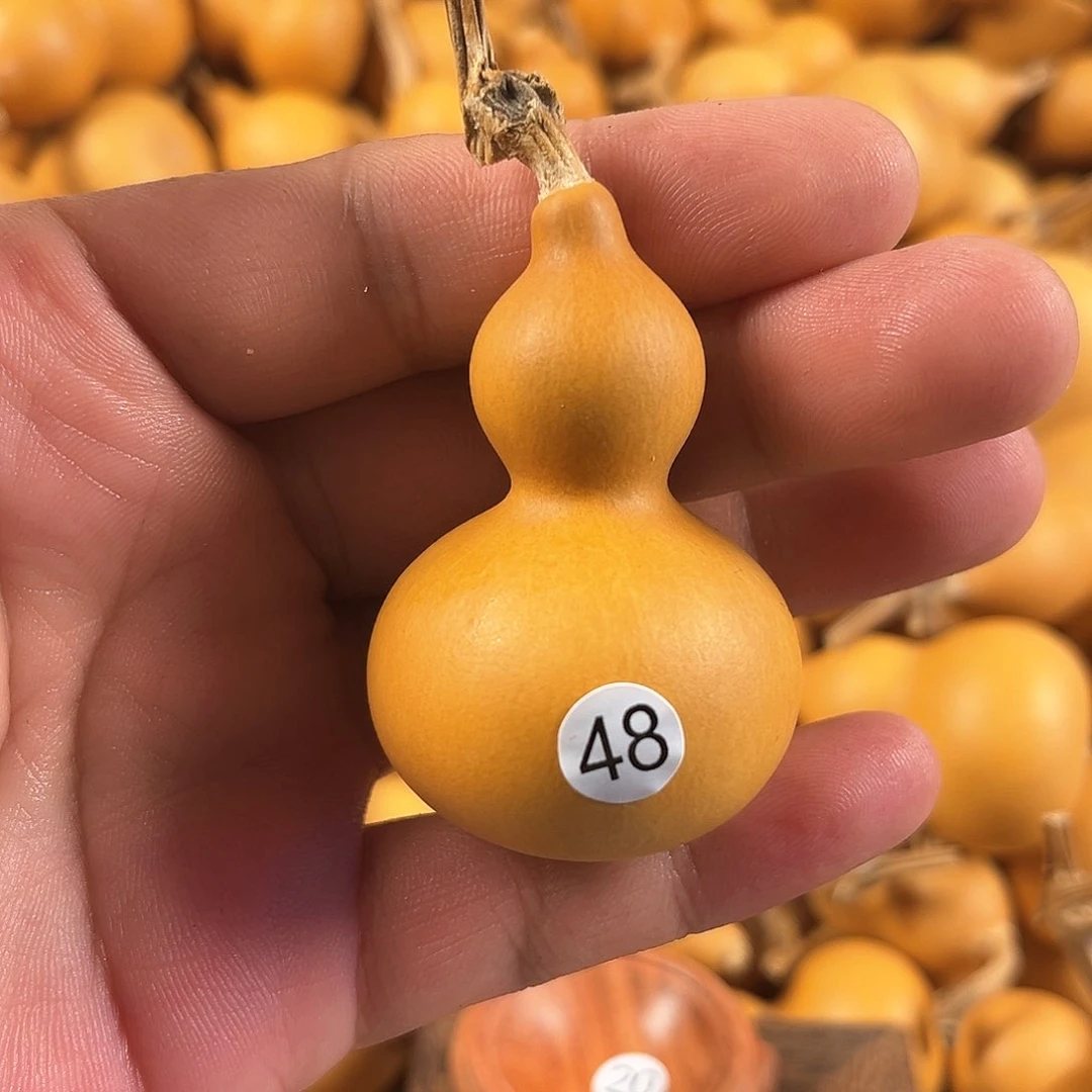 四葫芦葫芦葫芦葫芦48