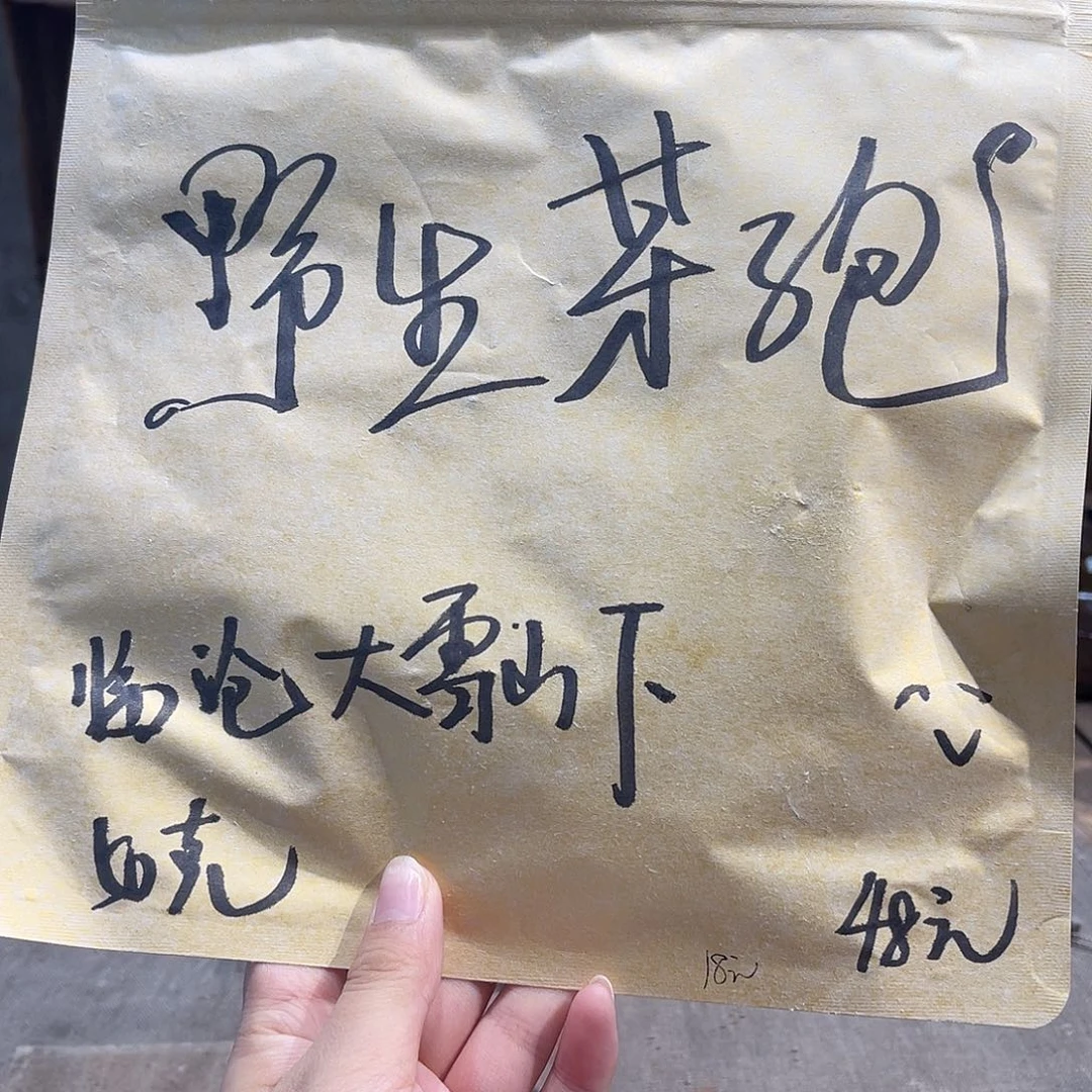 紫砂手工制作芽孢茶