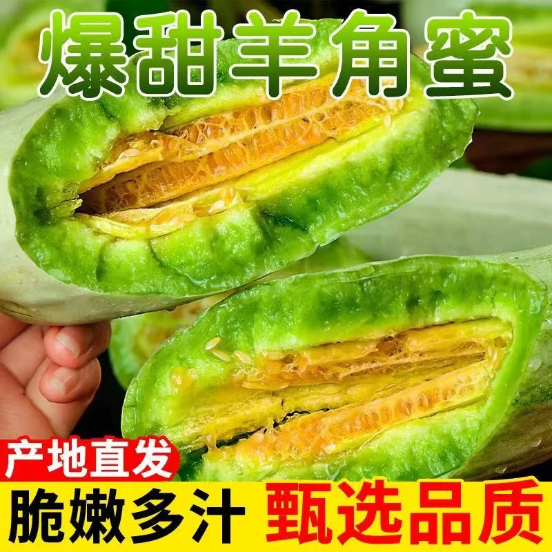山东羊角蜜甜瓜新鲜应季水果4.5斤 头茬脆甜香瓜蜜瓜羊角脆zz