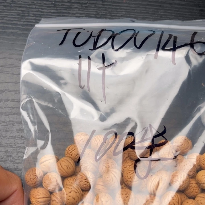 T***U木质类小桃核散籽批发100