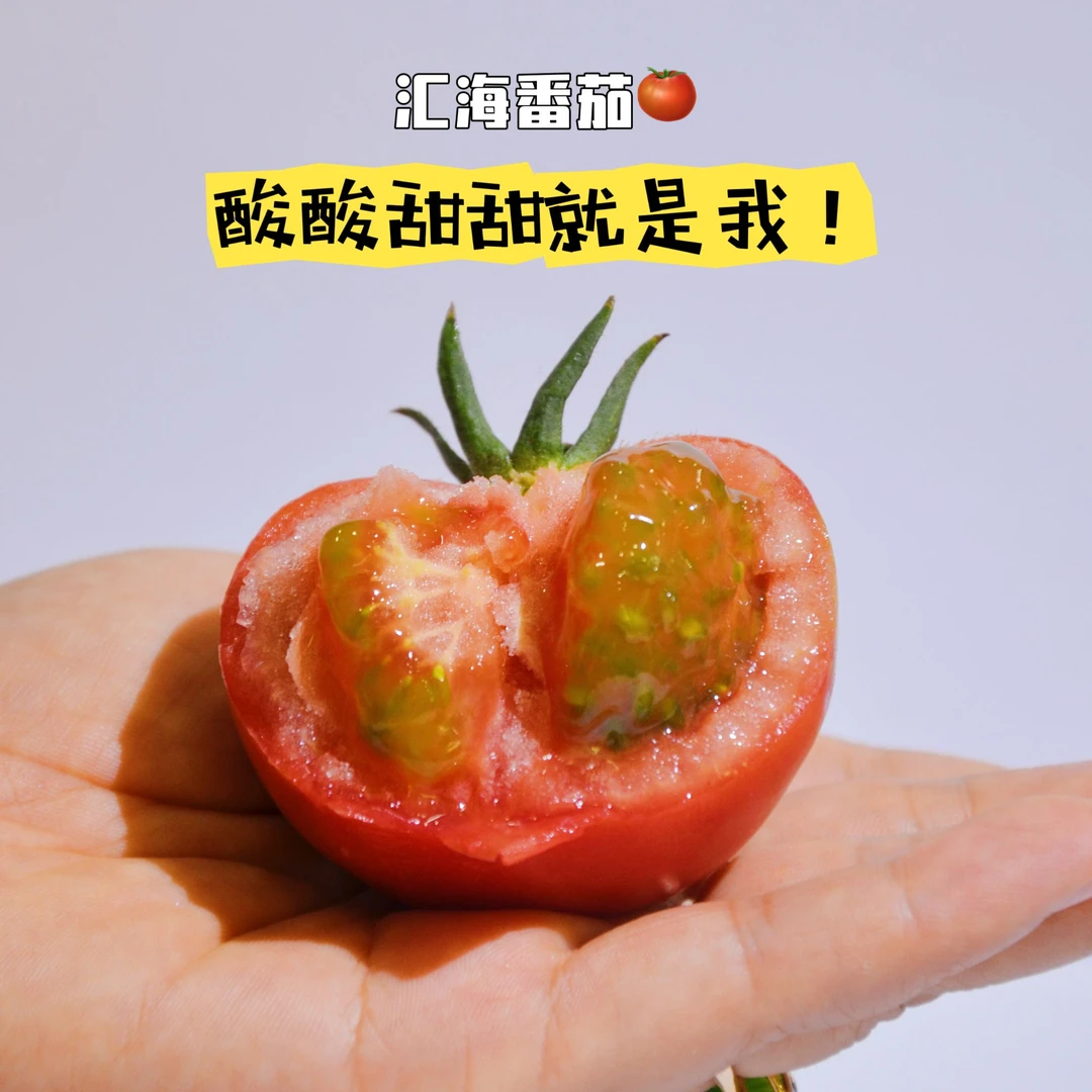 【京东包邮送上楼】草莓柿子不酸甜包赔空心包赔番茄皇后2000g新鲜番茄西红柿同城配山东省