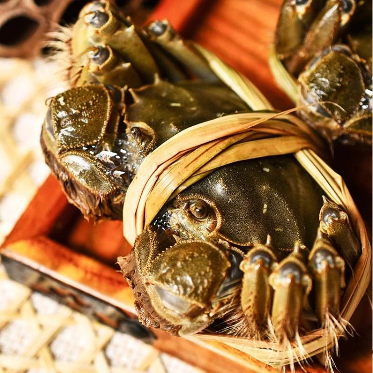 【活蟹现发】4.1-3.8两全母江苏挑膏大闸蟹6只8只10只礼盒装 顺丰京东冷链送货上门