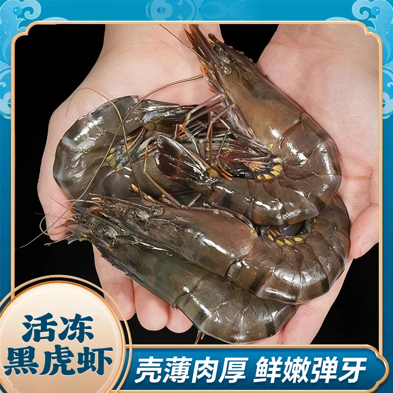 【超值特惠】东山岛黑虎虾多规格500g/盒 2盒/3盒 活冻锁鲜冷冻保存