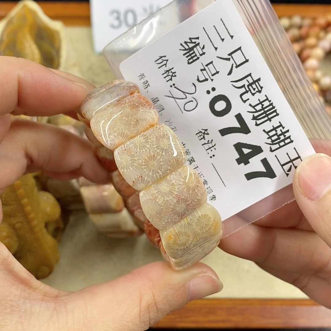 硅化珊瑚（珊瑚玉）1未镶嵌晴***?