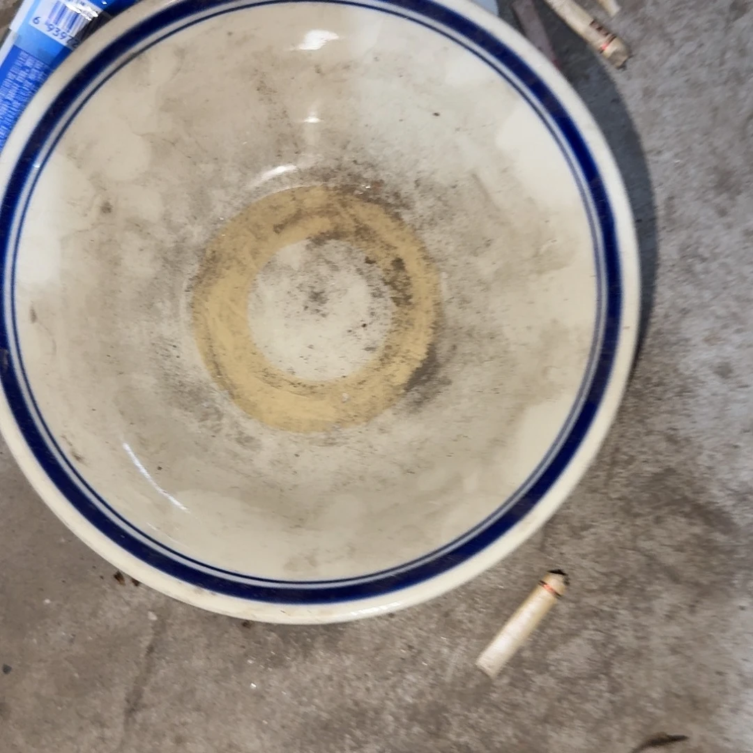 老货你在干嘛呢我想