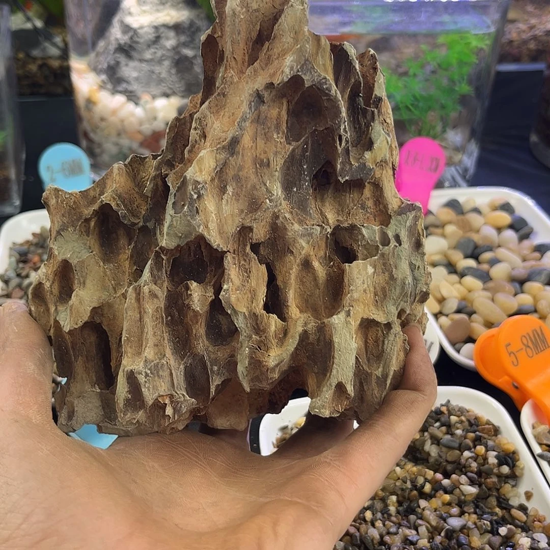 28号一物一拍松皮石 24号箱