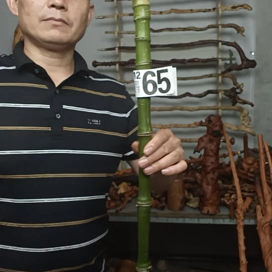 浪***涯香榧木高山 檬子木文玩料